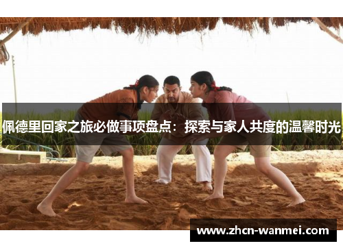 佩德里回家之旅必做事项盘点：探索与家人共度的温馨时光