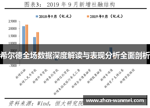 希尔德全场数据深度解读与表现分析全面剖析