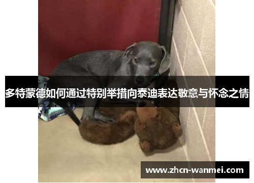 多特蒙德如何通过特别举措向泰迪表达敬意与怀念之情