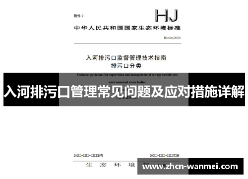 入河排污口管理常见问题及应对措施详解