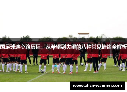 国足球迷心路历程：从希望到失望的八种常见情绪全解析